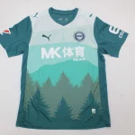 Alavés alternativa 25/26