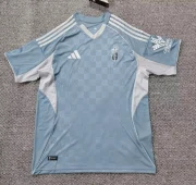 Granada alternativa 25/26