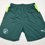 Short Manchester City alternativa 2 25/26