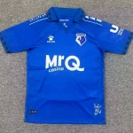 Watford alternativa 25/26