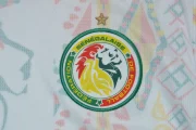 Senegal local 2026 - Imagen 16