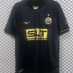 Hansa Rostock alternativa 25/26