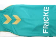 Werder Bremen edición especial Diego Ribas 25/26 - Imagen 8