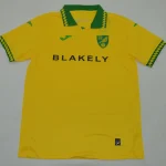 Norwich City local 25/26