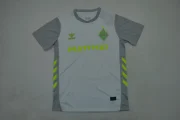 Werder Bremen visitante 25/26