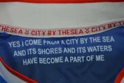 Kit de niño Sunderland visitante 25/26 - Imagen 20