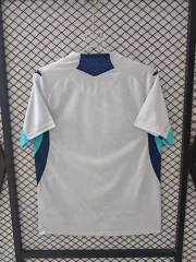 Hoffenheim alternativa 25/26 - Imagen 3