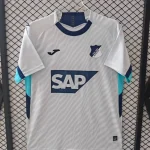 Hoffenheim alternativa 25/26