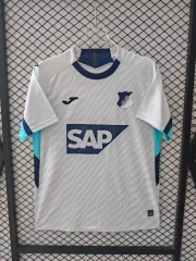 Hoffenheim alternativa 25/26