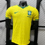 Brasil local 2026 versión jugador
