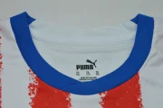 Paraguay local 2026 - Imagen 7