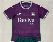 Swansea visitante 25/26