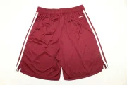 Short Arsenal alternativa 25/26 - Imagen 4