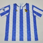 Sheffield Wednesday local 25/26