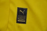 Kit de niño Borussia Dortmund edición Champions League 25/26 - Imagen 11