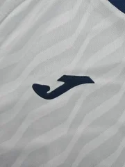 Hoffenheim alternativa 25/26 - Imagen 5