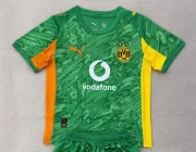 Borussia Dortmund portero color verde 25/26