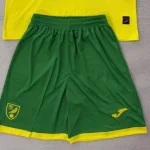 Short Norwich City local 25/26