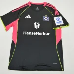 Hamburgo alternativa 25/26