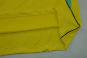 Brasil local 2026 - Imagen 11
