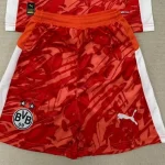Short Borussia Dortmund portero color naranja 25/26