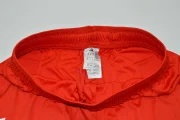 Short Bayern Münich local 25/26 versión jugador - Imagen 5
