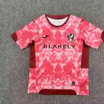 Norwich City alternativa 25/26