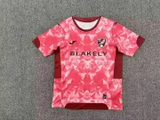 Norwich City alternativa 25/26