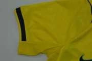 Brasil local 2026 - Imagen 5