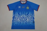 Congo local 2026