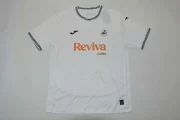 Swansea local 25/26