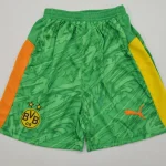 Short Borussia Dortmund portero color verde 25/26