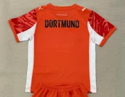 Borussia Dortmund portero color naranja 25/26 - Imagen 2