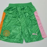 Short Manchester City portero color verde 25/26