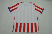 Paraguay local 2026 - Imagen 2