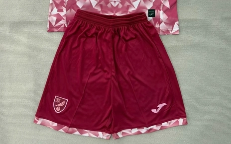 f1498e2c Short Norwich City alternativa 25/26 - Imagen 1