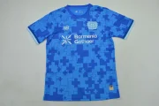 Bayer Leverkusen alternativa 25/26