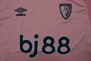 Bournemouth alternativa 25/26 - Imagen 2