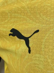 Borussia Dortmund edición Champions League 25/26 versión jugador - Imagen 5
