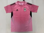 España portero color rosa 2026 versión jugador