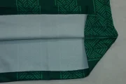 Sudáfrica visitante 2026 - Imagen 10