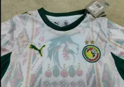 Kit de niño Senegal local 2026 - Imagen 2