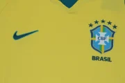 Brasil local 2026 - Imagen 11
