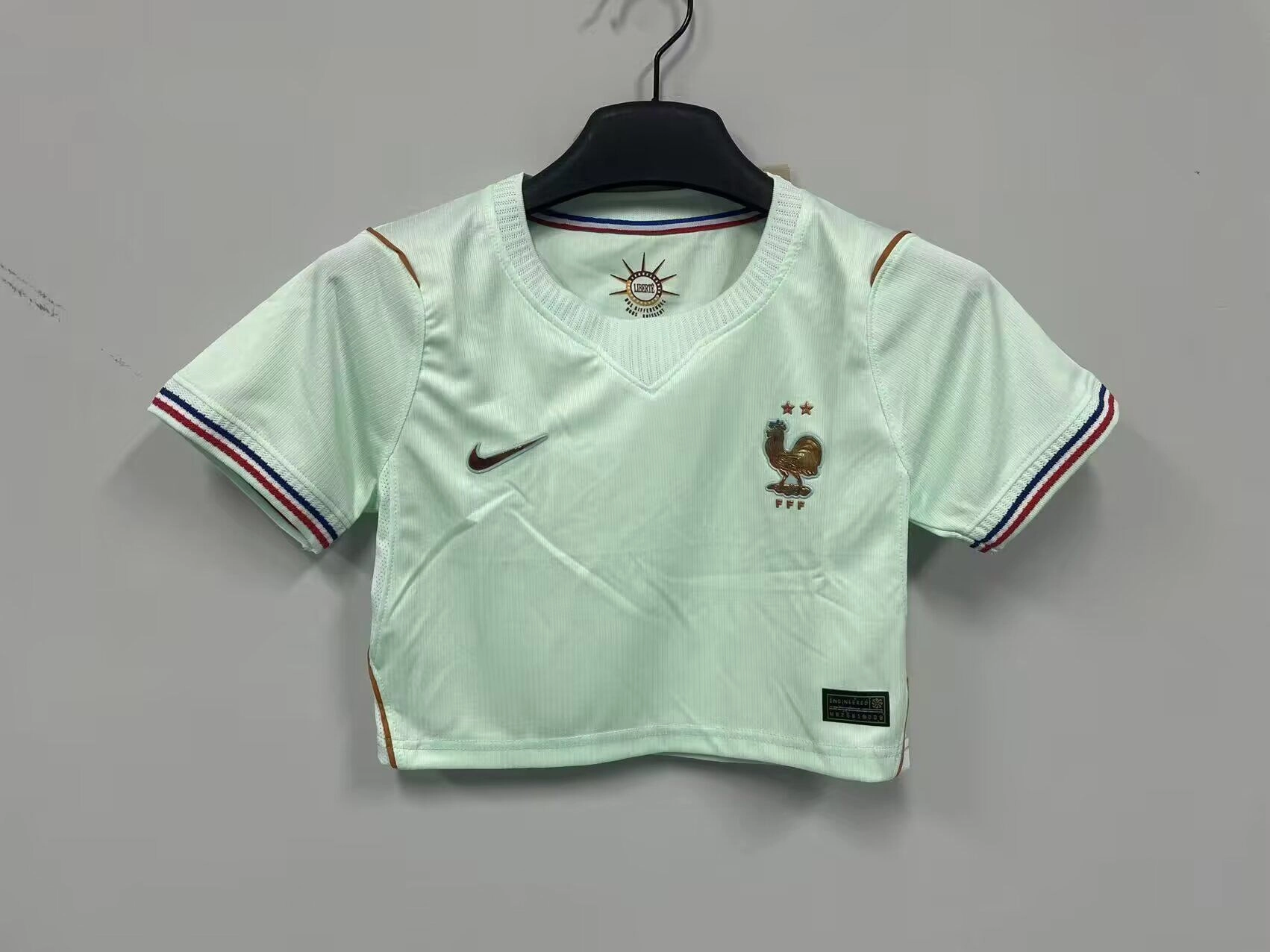3fc2c384 Francia visitante 2026 crop - Imagen 1