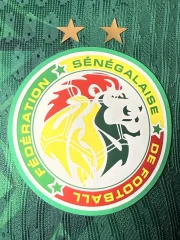 Senegal visitante 2026 versión jugador - Imagen 3