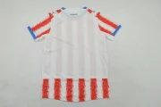 Paraguay local 2026 versión jugador - Imagen 10