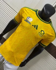 Sudáfrica local 2026 versión jugador - Imagen 7