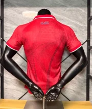 Haití alternativa 2026 versión jugador - Imagen 7