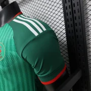 Argelia visitante 2026 versión jugador - Imagen 5