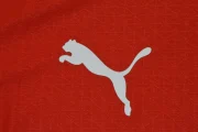 Austria local 2026 versión jugador - Imagen 10